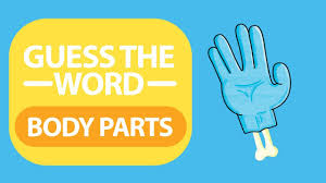 They describe the faces and use parts of the face and food vocabulary.they can than draw thei. Esl Body Parts Games Activities Body Parts Esl Worksheets