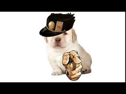 Puppy Jotaro Quieres Know Your Meme