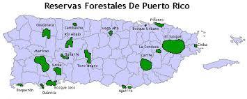 Physical map of puerto rico showing major cities, terrain, national parks, rivers, and surrounding countries with international borders and outline maps. My Beautiful Puerto Rico Mountains And Forests Part 2 Full Of Coffee Storytelling With Coffee And Love