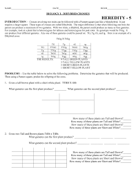 Inabinet explains a dihybrid practice problem. Dihybrid Practice Problems