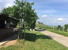 Nach deutschland ab einem bestellwert von 100 €, nach südtirol ab 200 €. Aktuelles Bieber Weins Webseite