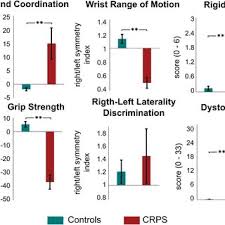 Pdf Implications Of The Putamen In Pain And Motor Deficits In Complex Regional Pain Syndrome