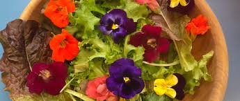 Maybe you would like to learn more about one of these? How To Cook With Edible Flowers 5280