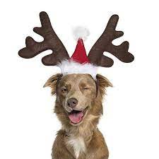 Amazon Com Bwogue Dog Elk Reindeer Antler Headband With Santa Hat Pet Pet Christmas Costume Head Reindeer Antlers Headband Christmas Animals Reindeer Antlers