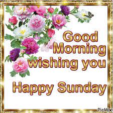 We did not find results for: Wishing You A Happy Sunday Good Morning Pictures Photos And Images For Facebook Good Morning Sunday Pictures Good Morning Happy Sunday Happy Sunday Pictures