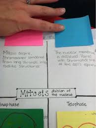 Mrs Cowan S Science Journal Page 50 Cell Cycle Foldable Teaching Biology Science Biology Biology Classroom