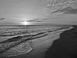 Check spelling or type a new query. Free Download Best Wallpaper Photography Black And White Black And White Beach 640x480 For Your Desktop Mobile Tablet Explore 46 Black And White Beach Wallpaper Black And Red Wallpaper