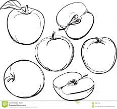 Apple Line Drawing Of Apples On A White Background One Color Drawing Apple Drawings Line Art Drawings