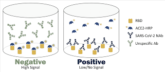 Image result for Neutralization Test