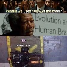As the neurons mature, more and more synapses are made. 100 Do Cerebro Do Ser Humano Rainbow Six Siege Memes Funny Memes Video Games Funny