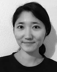 Time delay estimation by a modified orthogonal matching pursuit method for  rough pavement