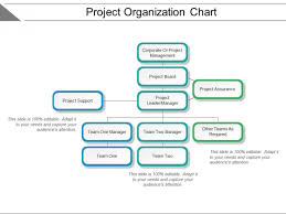 Project Organization Chart Ppt Powerpoint Presentation