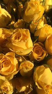 Download Yellow Aesthetic Wallpaper In 2021 Yellow Aesthetic Pastel Yellow Aesthetic Tumblr Yellow