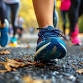 OPL Walking Group