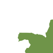 Image result for Acanthus mayaccanus