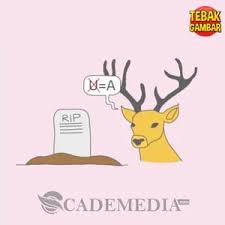 Selamat datang di tebak gambar solusi halaman web. Kunci Jawaban Tebak Gambar Level 1 Nomor 1 20 Beserta Gambarnya Lengkap Cademedia