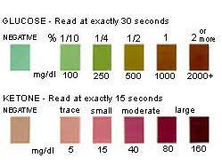 dog diabetes urine testing