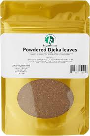 Image result for Alchornea cordifolia