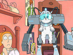 Snuffles' appearance on rick and morty was limited to but a single episode, as his aspirations lead him to explore space and inhabit a new planet full of intelligent dogs. Snuffles Rick And Morty Wiki Fandom