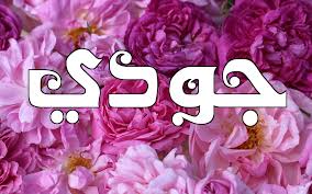 معاني الأسماء معنى اسم جودي