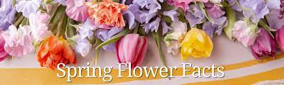 Peonies, lillies, roses, oh my! Spring Flower Facts In Bloom Florist Blog