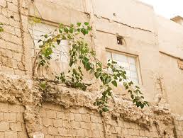 Growing Every Where وجعلنا من الماء كل شيء حي Flickr