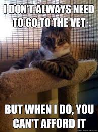 I Don T Always Need To Go To The Vet But When I Do You Can T Afford It Cute Animals Cat Memes Cats