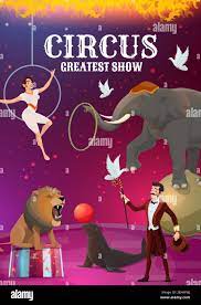 Circus Show Acrobatics And Magic Trained Animals Vector Female Aerial Acrobat In Hoop And Magician With Doves Elephant On Sphere And Seal With Bal Stock Vector Image Art Alamy