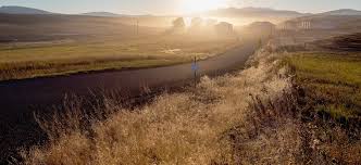 It is north of oregon, west of idaho, east of the pacific ocean, and south of british columbia. Researcher Finds Way To Fight Cheatgrass A Western Scourge The New York Times