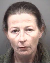 BEAVER, HOLLY ANNE Age: 38 Gender: FEMALE Race: WHITE Arrest Date:  05/05/2024 Charge: Misd Crime Of Dom Violence, M (M) Arrest Location:  400-BLK W Ridge Ave, Landis, NC Arrest Time: 14:08
