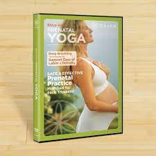 Check spelling or type a new query. Dvd Review Prenatal Yoga With Shiva Rea Breaking Muscle