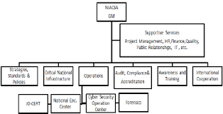 example high level organizational structure for niacsa