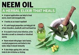 Neem leaves also useful for eye vision, just boil the neem leaf and for eye irritation and redness issues. 5 Benefits Of Using Neem Oil For Hair Femina In