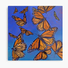 Maybe you would like to learn more about one of these? Blue Monarch Butterfly Wall Art Redbubble