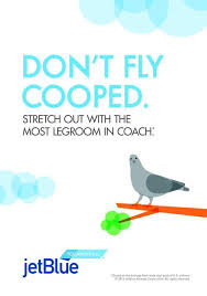 Jetblue Ad Agency Mullen Create New Pigeon Centric Ad Campaign New York Business Journal Jetblue Ad Campaign Business Journal