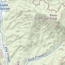 Pine Ridge Topo Map GA, Rabun County (Rainy Mountain Area)