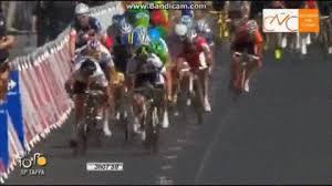 The tour de france is back to having spectators along the race course, and it seems like those fans are out of practice the first stage of the legendary cycling event started saturday, and with it came the event's first major crash. Tour De France Gif Tourism Company And Tourism Information Center