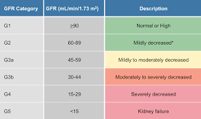 Now more commonly classified as chronic kidney disease and is listed as stages based on the patient's level of glomerular filtration rate (gfr). Core Concepts Treatment Of Hcv In Persons With Renal Impairment Treatment Of Key Populations And Unique Situations Hepatitis C Online