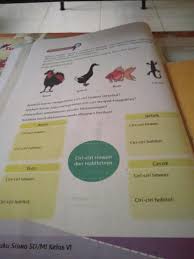 Maybe you would like to learn more about one of these? 81 Gambar Ayam Bebek Ikan Cicak Terbaik Gambar Pixabay