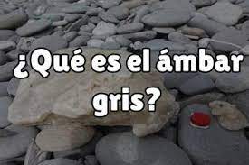 Su nombre proviene del árabe عنبر, (anbar), término que hace alusión a algo que flota en el agua del mar. Ambar Gris El Oro De La Perfumeria Superesencia