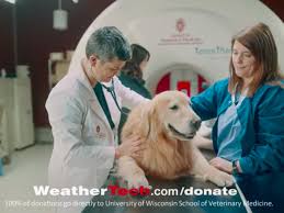 We believe that by providing this service, pet guardians may be able to provide both vital and routine veterinary care for their companion animals. Weathertech S Super Bowl Ad Is To Thank The Vets Who Saved Ceo S Dog Sbnation Com