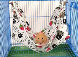 5 out of 5 stars. New Pet Rat Hamster Hanging Bed Chinchilla Hammock Guinea Pig Rabbit Hammock Cage Accessories For Small Animals D545 Pet Rat Guinea Pig Cage Accessoriesguinea Pig Aliexpress