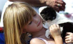 Saturday in the suburbs