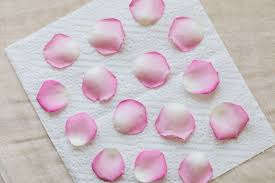 Roses are not only pretty, they are extremely versatile too. How To Harvest And Dry Rose Petals