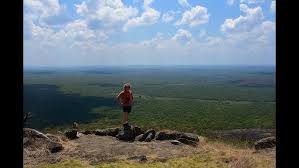 Image result for Habenaria uhehensis