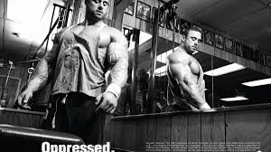Bodybuilding Wallpapers HD Wallpapers 2400x1350