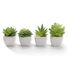 Here are some of my ideas. Nattol Modern Mini Artificial Succulent Plants Potted In Cube Shape White Ceramic Pots For Home Decor