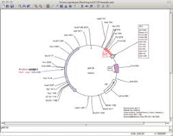 プラスミド地図作成 Genetyx Mac Ver 15 新機能 向上点