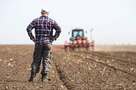 Trend Google: agricoltore