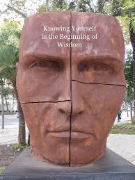 Wholistic Health & Wellness Company in Edmonton, Alberta, CA